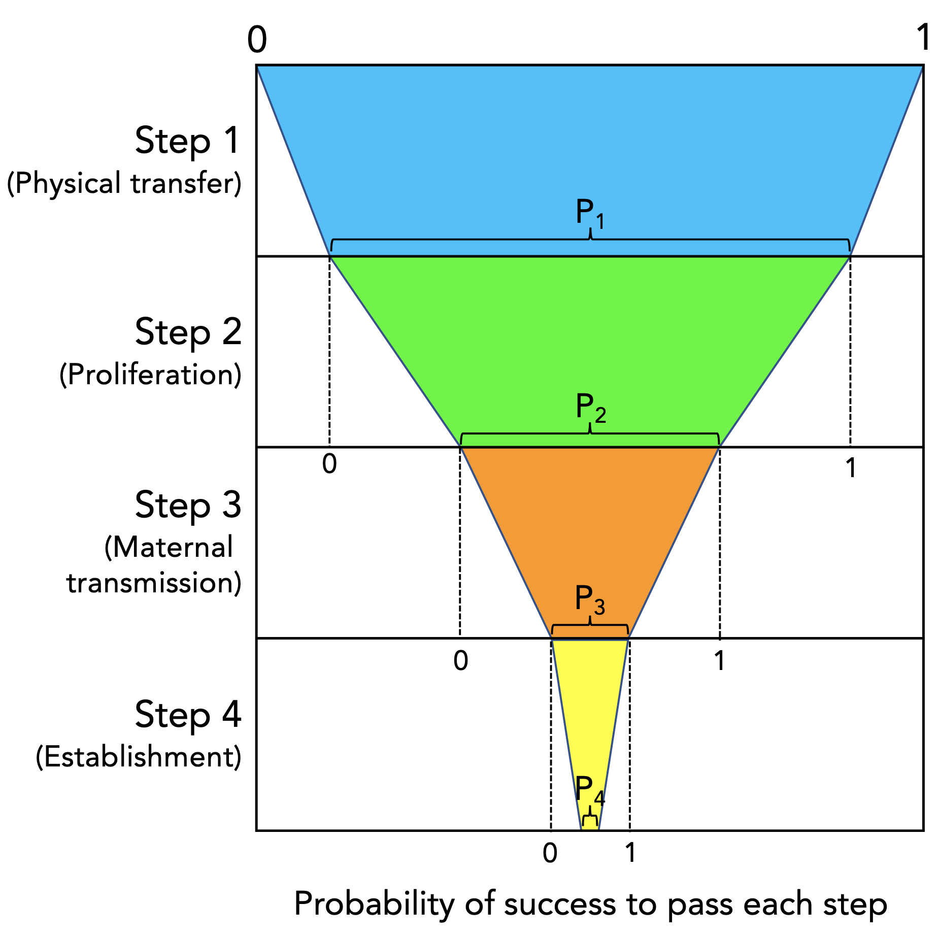 Wolbachia host shifts: routes, mechanisms, constraints and evolutionary consequences