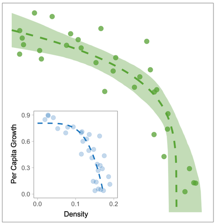 Growth-density inversion in Escherichia coli reveals superlinear, not sublinear, density dependence